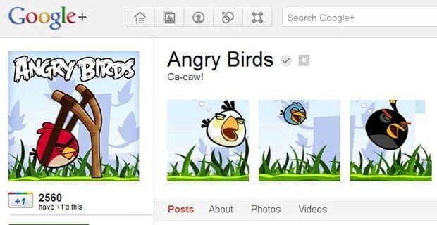 Das Profil, auf dem du wütend aussiehst